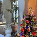 달단지스테이 이미지