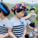 (6-4) 금박골 블루베리 농장 체험활동🫐 이미지