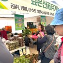 강원산약초산나물