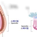 미트패밀리도봉점