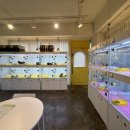 펫퍼스트 24시 강아지분양 고양이분양 파주운정점 이미지