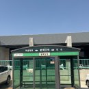 창이네한끼식당 | 서산 노라포 식당 멍게비빔밥, 아롱사태 곰탕 점심식사 후기.