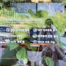 금천제1 | 금천구 카페ㅣ조용하게 머물 카페 찾는다면 추천하고 싶은 내 돈 내산 듀포레 추천 후기