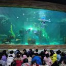 조은어린이집 이미지