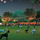 코어 행정사 사무소 이미지