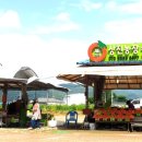 상진농장4 이미지