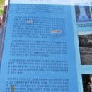 덕정1통 네이버블로그