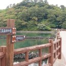 정안부분정비 이미지