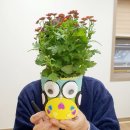 반려식물 원예화분 공예 이미지