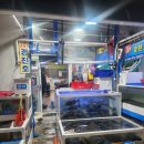 경진호 | 속초 설악항 맛집 26호 경진호 속초 현지인 맛집...생선회 맛집 내돈내산 간단후기 노포감성 가족모임추천