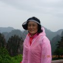 명보