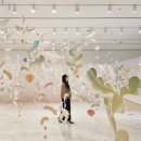 화성특례시민의 날 콘서트 | 화성 시민의 날 콘서트 AKMU 폴킴 유주 후기! 동탄 여울공원 불꽃 열기!