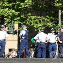 호주 경찰, 한국인 피해자에 사과…재수사 이미지