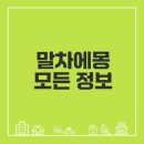 웰빙마트(발산) | 말차에몽 출시일과 파는곳 궁금하신가요