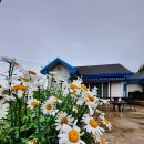 대송펜션 이미지