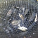 월척낚시터 이미지