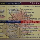 사비향 네이버블로그