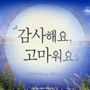 성인나이트 노래모음♬무도장 음악55.....스마트폰으로도 들을 수있습니다...청안님 올리신 곡 이미지