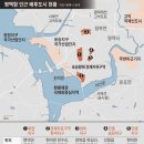 평택포승부동산공인중개사사무소 네이버블로그