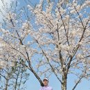 원사락 | 남자골프웨어 추천, &#39;봄 골프복장 락골프 니트 착장후기&#39;