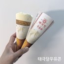 GS25 안양서우점 | GS25 편의점 아이스크림 추천, 태극당 우유콘 내돈내산 행사 후기