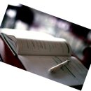 행정사 모든 이미지