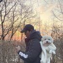 망토 두른 강아지 이미지