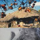 무정농장 이미지