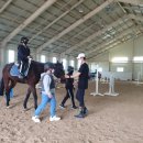 말보르승마장 이미지