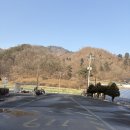 캠프이노베이션 착한횡성한우 네이버블로그