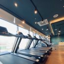 짐플렉스 이미지