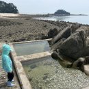 무창포 조개나라 | [인천 옹진] 소야도 바다 갈라짐 - 아이와 함께 자연의 신비 구경.