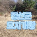 정선하늘터 이미지