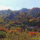 동부-3 이미지