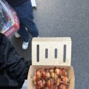 구마2길 이미지