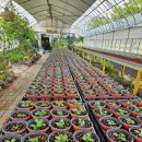 즐거운농장 이미지