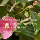 일등여인숙 이미지