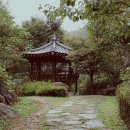 해인사 소리길 이미지