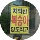 강원찐빵
