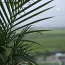 순천목장 이미지