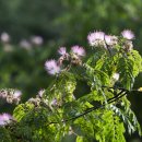 와우호수공원 이미지