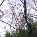 금정농장 이미지