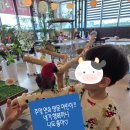 수완