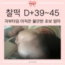 아포어린이집 | 찰떡일기 (11) :: D+39~45 엄껌 엄몬스 시간│직장 어린이집 입소신청서 제출│뉴발란스 프리들 래플...