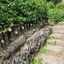 등마루공원 이미지