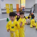 엘리트 합기도&태권도 | [옥길동태권도] 넘버원태권도를 찾는이유! #옥길동태권도 #여자관장님 #관심 #세심 #옥길동태권도추천...