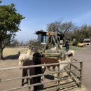 영현목장 이미지