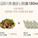 만두가 이미지
