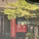 르아브(lehav)