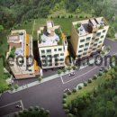 파인글로브 이미지